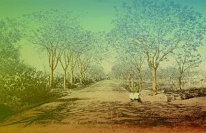 MARNIA 014_ AV_ DE TLEMCEN